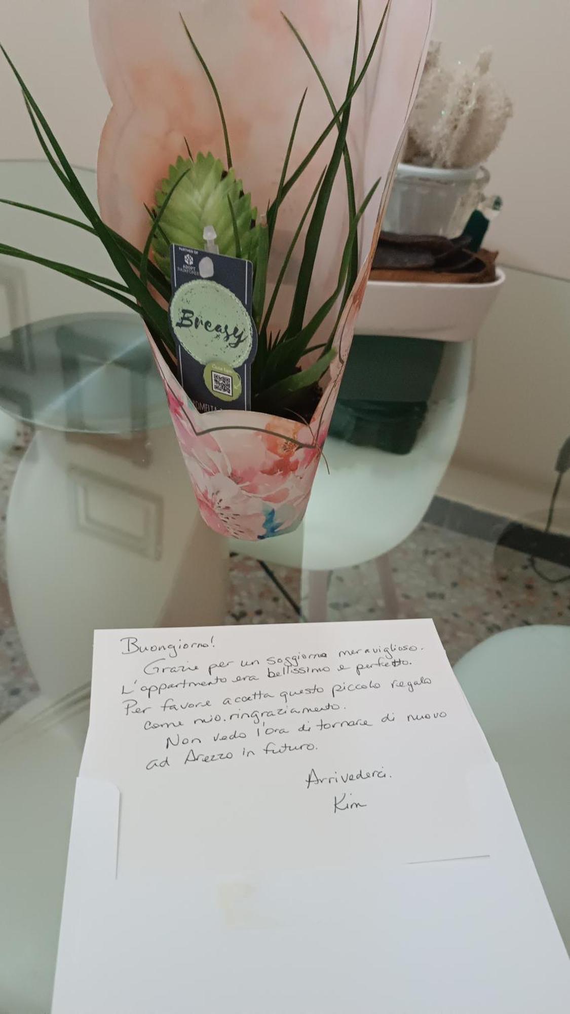 Suite Mariasole Arezzo Esterno foto